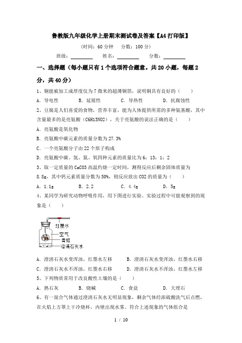 鲁教版九年级化学上册期末测试卷及答案【A4打印版】