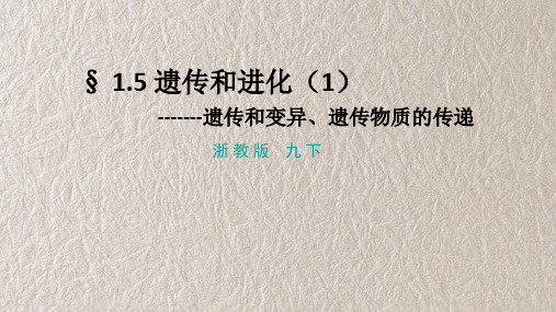 浙教版科学九年级下册1-5遗传和进化(1)