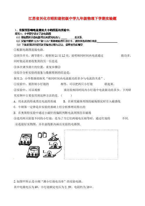 江苏省兴化市昭阳湖初级中学九年级物理下学期实验题(无答案) 新人教版