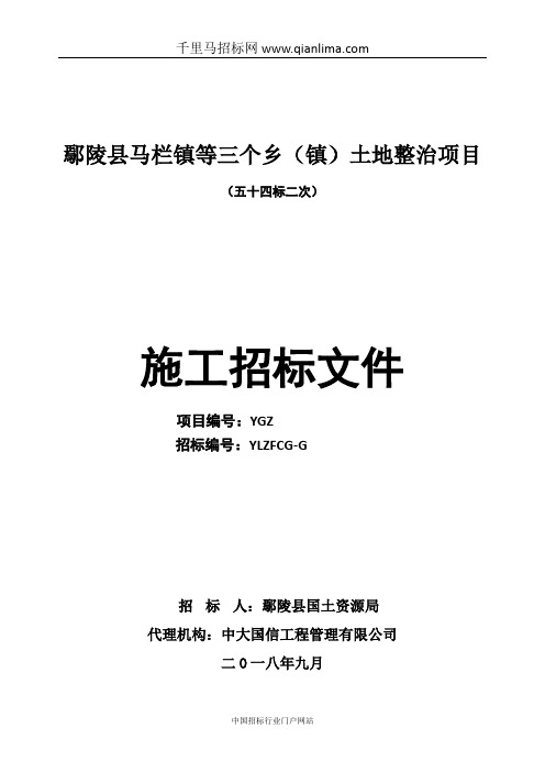 乡(镇)土地整治项目招投标书范本