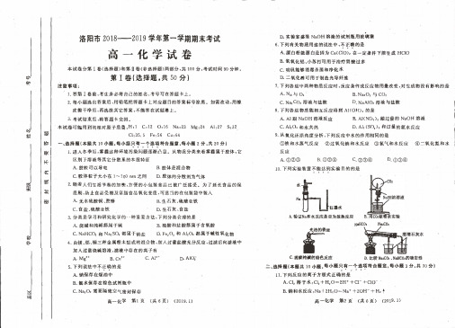 河南省洛阳市2018-2019学年高一上学期期末考试化学试卷(PDF版)