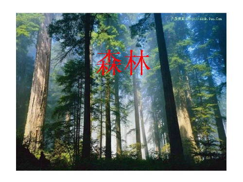 沪教版小黑鱼.ppt