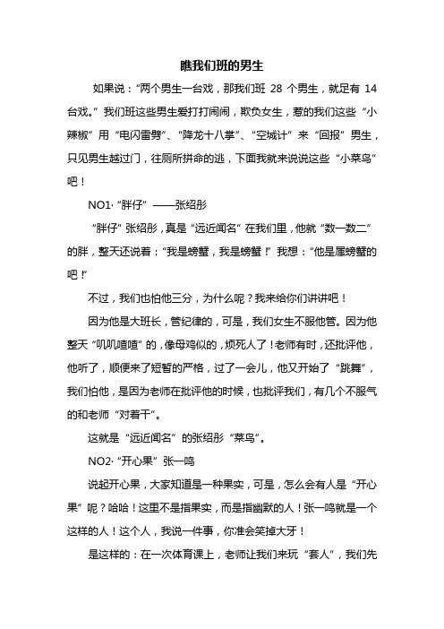 四年级作文：瞧我们班的男生作文800字