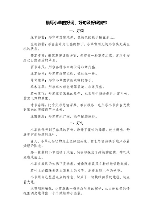 描写小草的好词、好句及好段摘抄