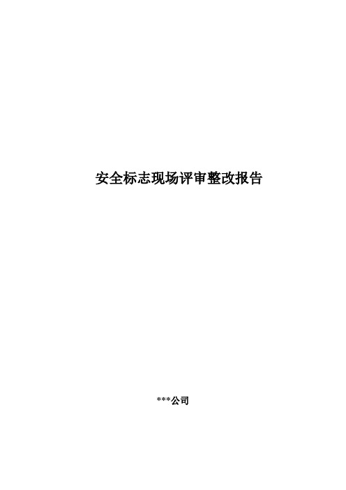 安全标志现场评审整改报告