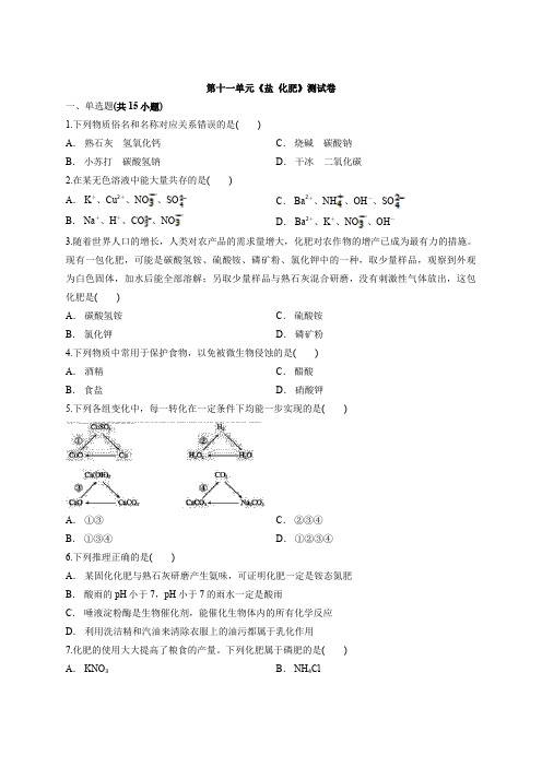 2019年秋季人教版初中化学九年级下学期第十一单元《盐  化肥》测试卷(含答案)