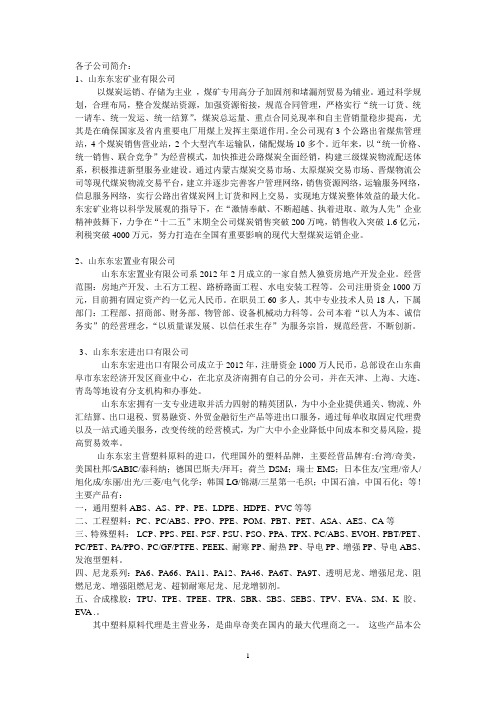 各子公司简介