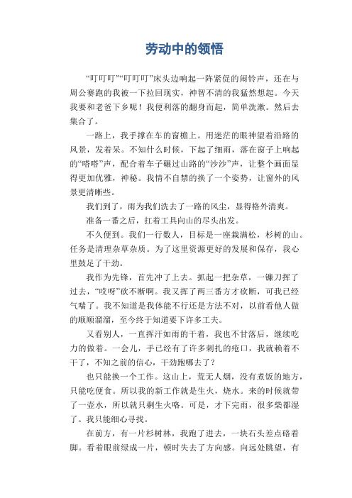 初中生满分作文：劳动中的领悟