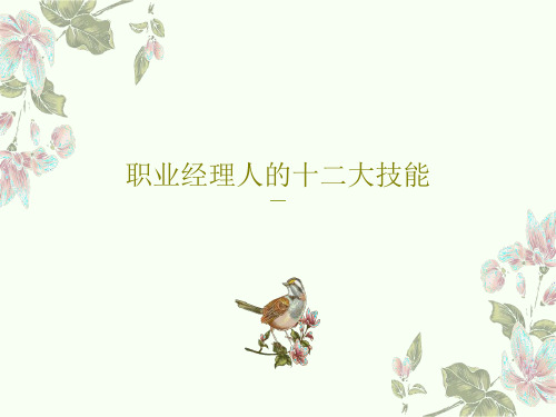 职业经理人的十二大技能171页PPT