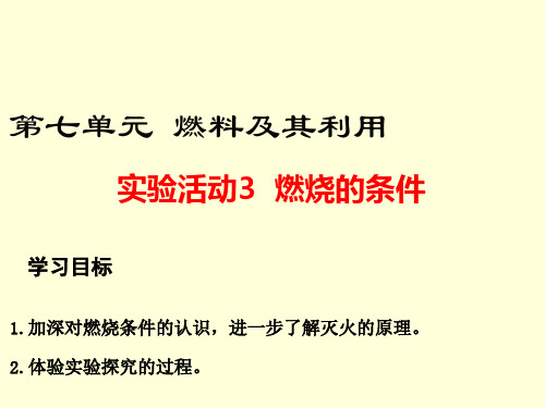 《燃烧的条件》PPT课件1