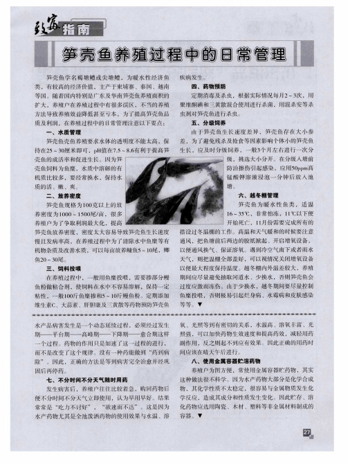 笋壳鱼养殖过程中的日常管理