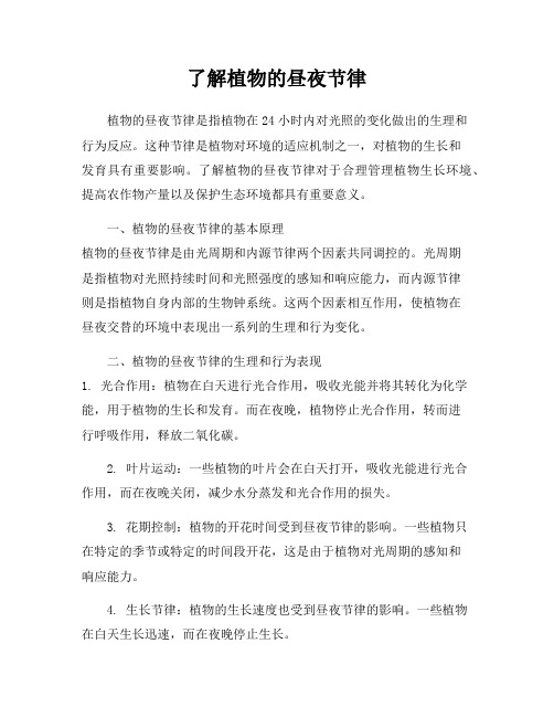 了解植物的昼夜节律