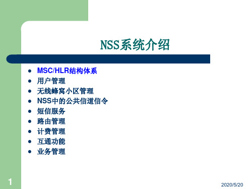 NSS系统介绍