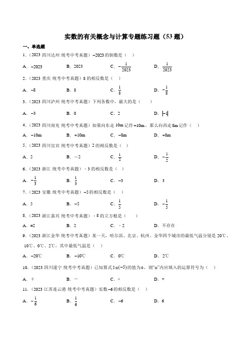 中考《数学》实数的有关概念与计算专题练习题(共53题)