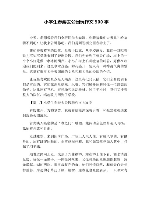 小学生春游去公园玩作文300字