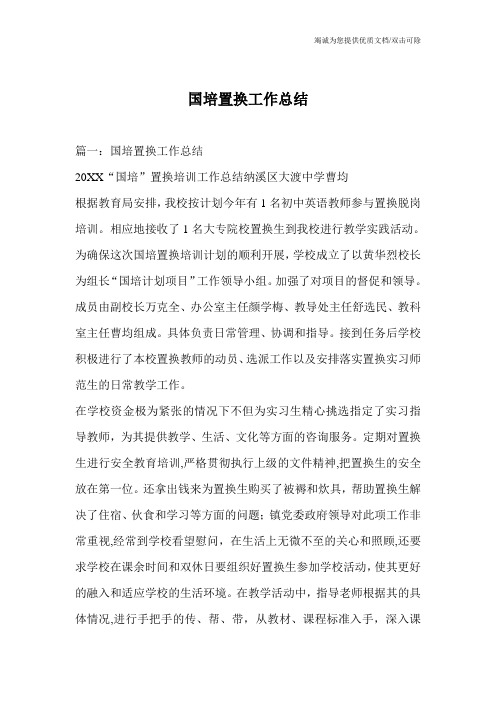 国培置换工作总结