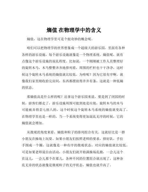 熵值 在物理学中的含义