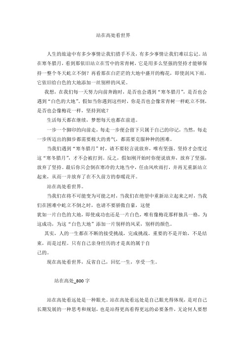 站在高处看世界