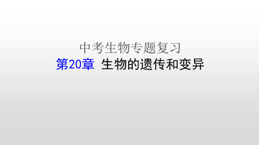 2020年中考生物专题复习-生物的遗传和变异知识考点训练课件(26张ppt)