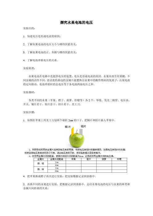 2020人教版九年级物理第1节  电压  实验探究 探究水果电池的电压