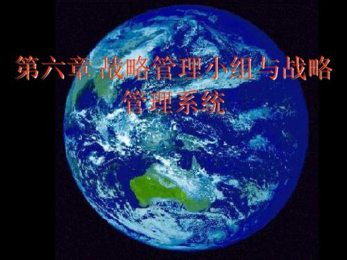6公共部门战略