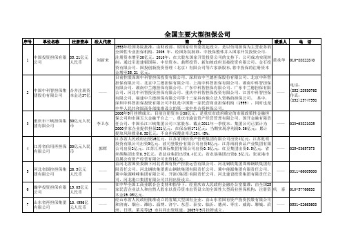 全国主要大型担保公司