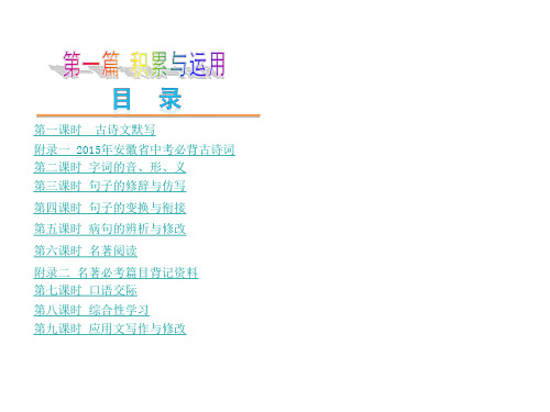 语文中考总复习(共324张)方案