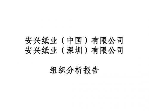 安兴纸业组织分析报告1[1].3
