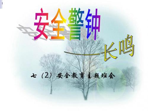 7.2安全教育主题班会