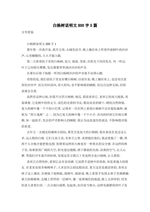 白杨树说明文800字5篇