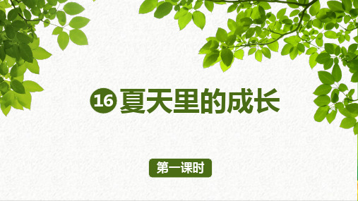 部编版六年级语文上册16夏天里的成长课件(共62张PPT)