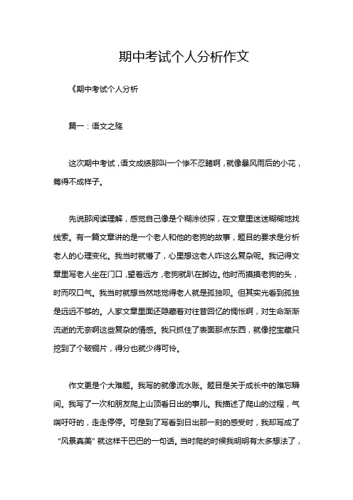 期中考试个人分析作文