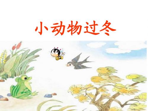 小动物过冬x新