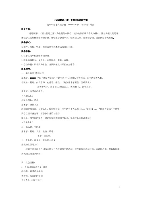 《团结就是力量》主题中队活动方案