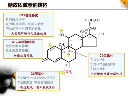 糖皮质激素在脓毒性休克中的作用