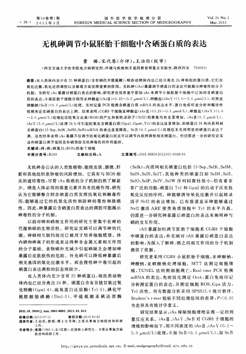 无机砷调节小鼠胚胎干细胞中含硒蛋白质的表达