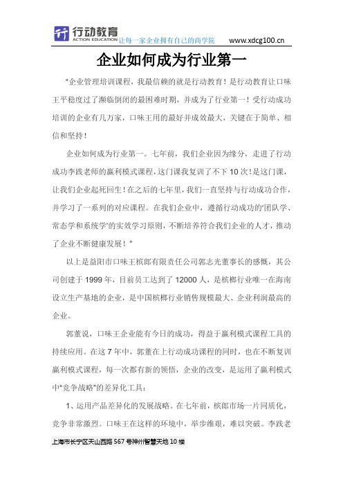 企业如何成为行业第一