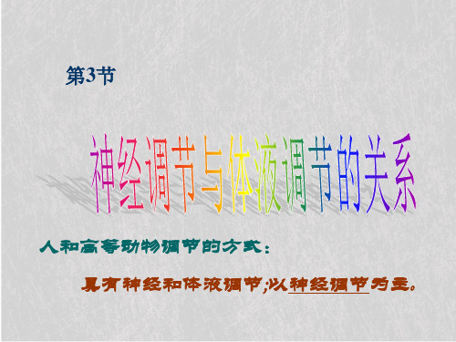 2.3神经调节与体液调节的关系
