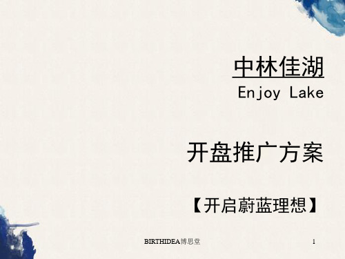 房地产公司广告策划--中林佳湖开盘方案