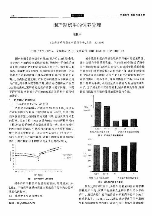 围产期奶牛的饲养管理