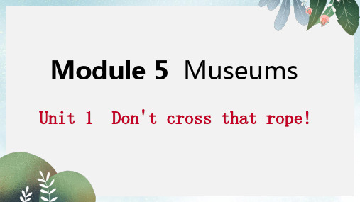 九年级英语上册Module5MuseumsUnit1Don’tcrossthatrope读写课件新版外研版