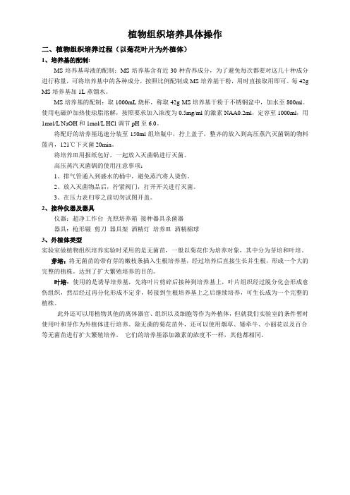 组培具体操作
