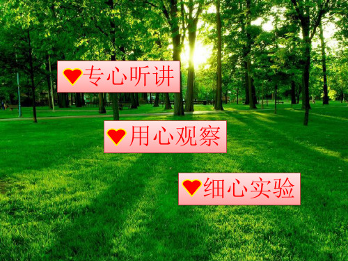 浙教版科学八级下册光合作用ppt_优质版PPT