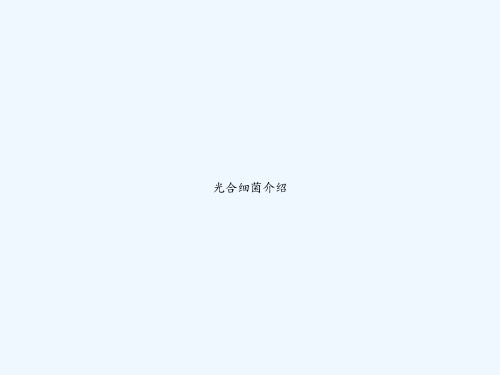 光合细菌介绍 PPT