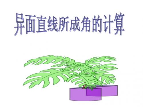 异面直线所成角的计算