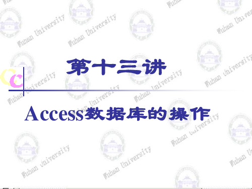 第十三讲 Access数据库的操作