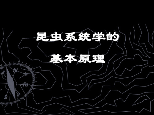 昆虫分类学命名法