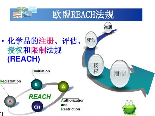 REACH法规简介