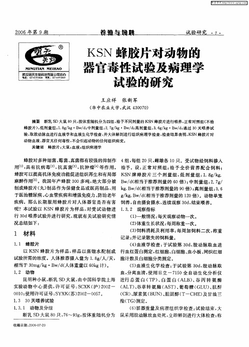 KSN蜂胶片对动物的器官毒性试验及病理学试验的研究