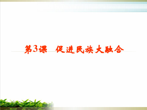 人教版选修一第三单元促进民族大融合PPT完整版